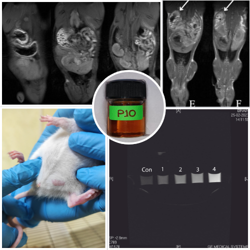 Xeuj MRI contrast agent applications